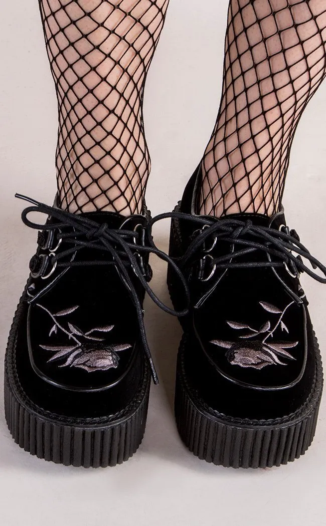 CREEPER-219 Black Velvet Creepers (Au Stock)