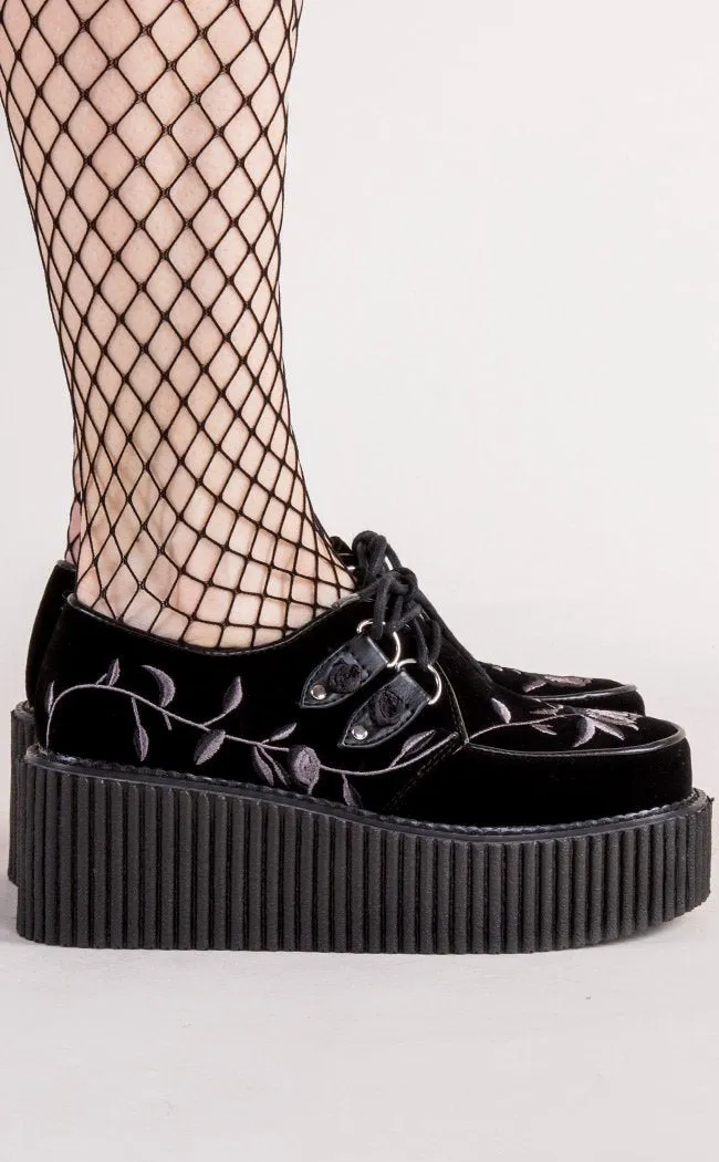 CREEPER-219 Black Velvet Creepers (Au Stock)